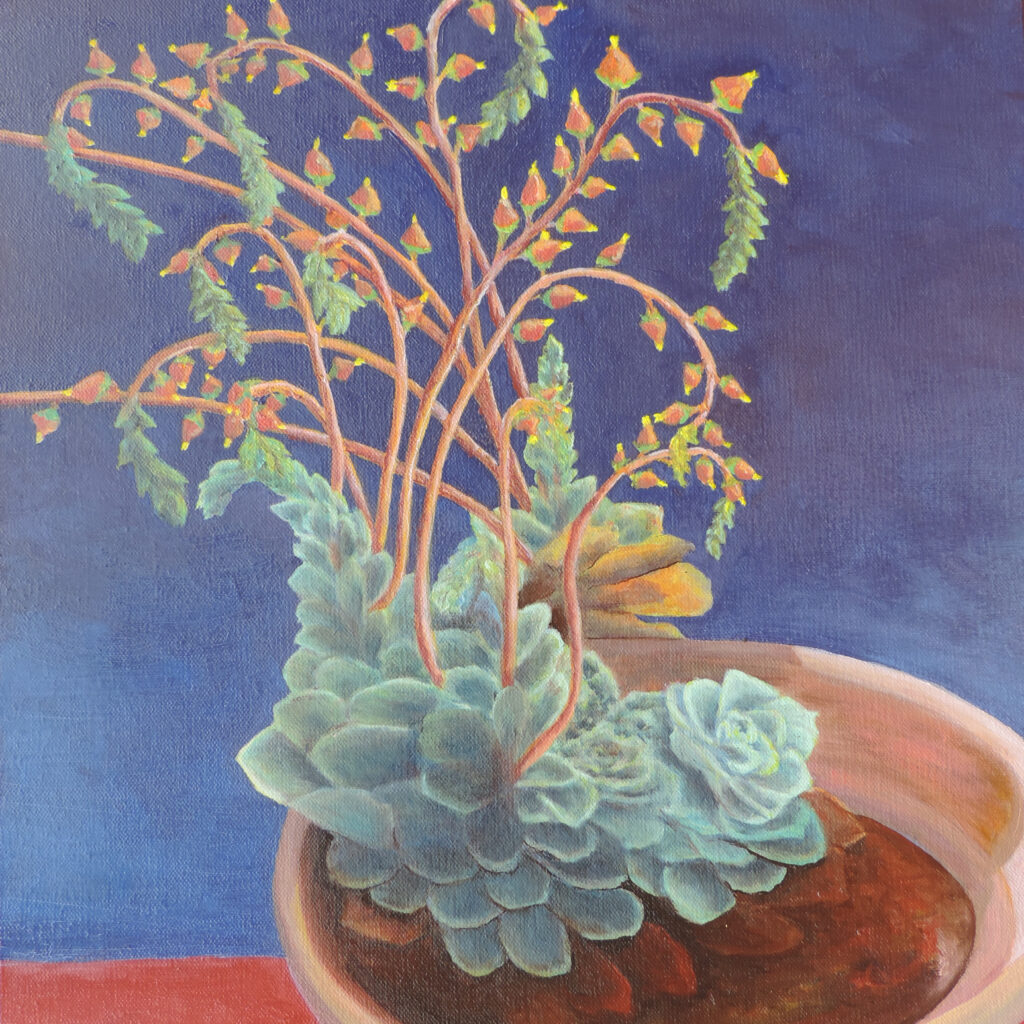 Succulent